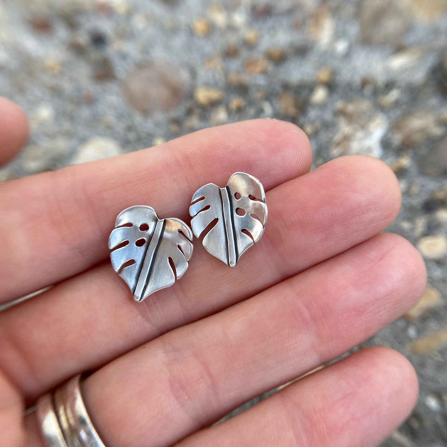 Baby Monstera Studs